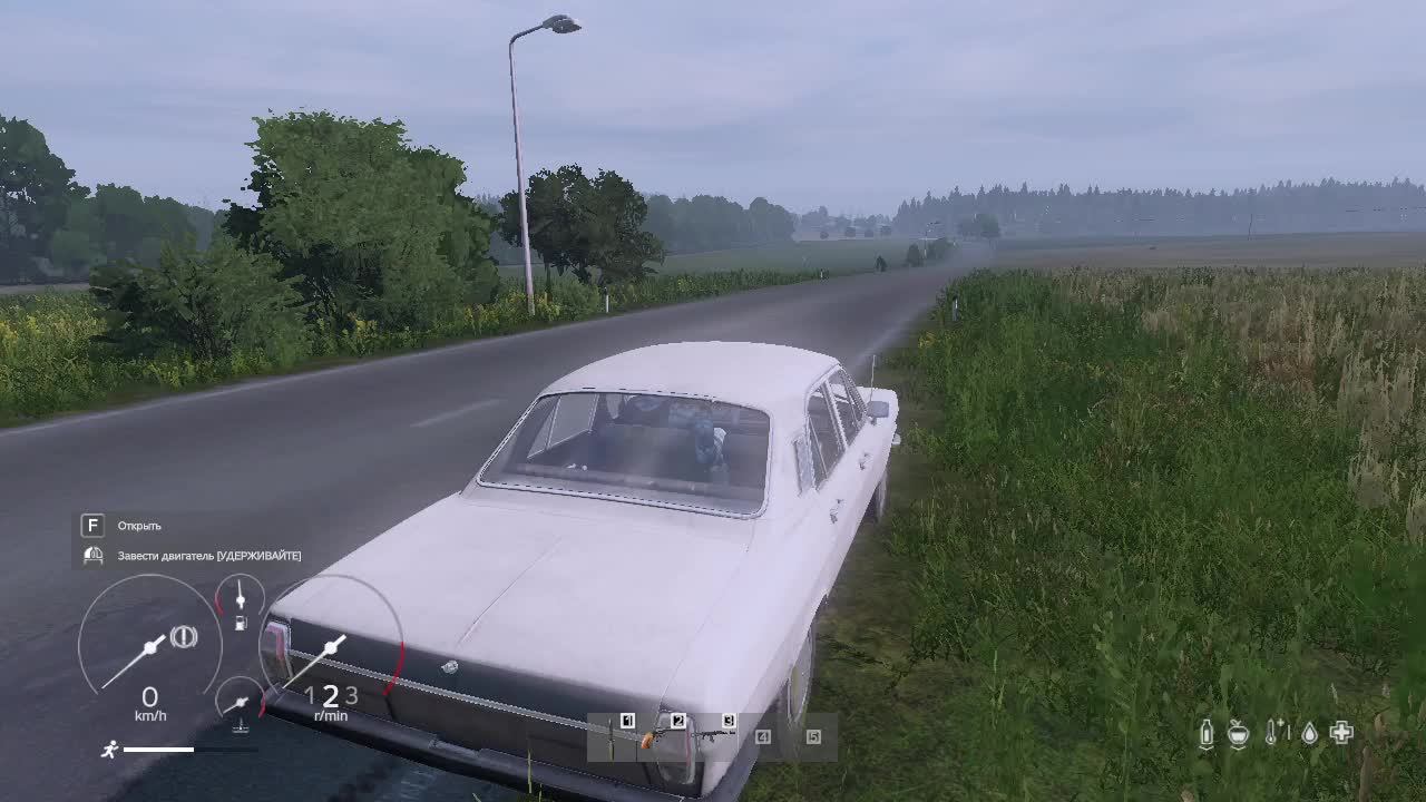 #DAYZ. Играем в грибника.