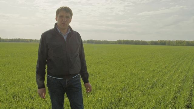 Оцениваем состояние озимых весной 2023 года