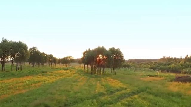 Кучеров Семён. Стихотворение Константина Симонова - Родина
