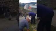 Песня без фонограммы "Ахвахский район"