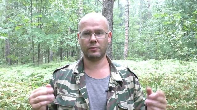 Арест Ройзмана