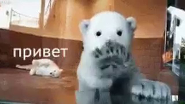 GIF  привет