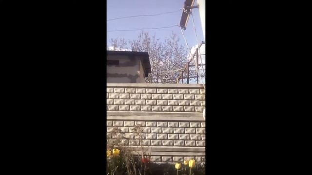 Делаем кувырок на кольцах , с Вткой
