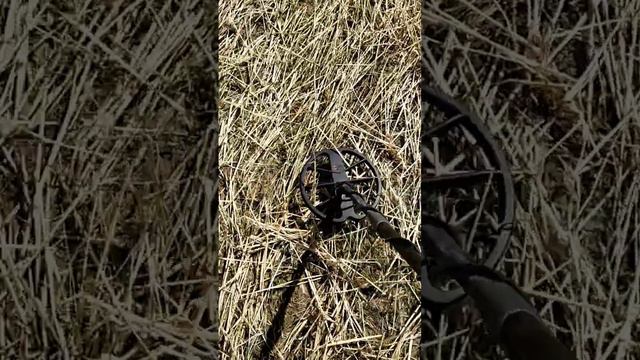нашёл ключи от сейфа