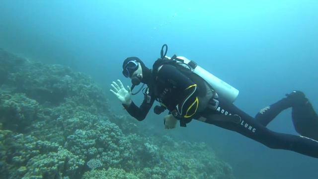 Abu Talha dive site.  Dahab.  Egypt