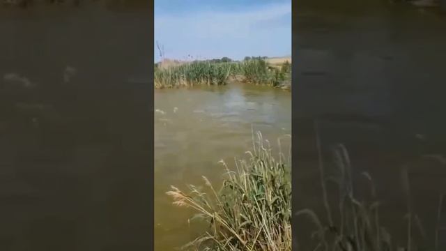 Рыбачить по русски