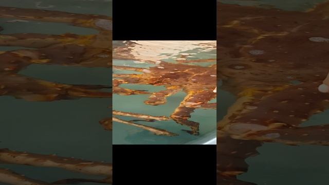 Самый главный Краб?