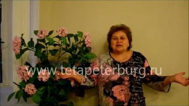 Отзыв Базовый курс ThetaHealing у Веры Быстровой
