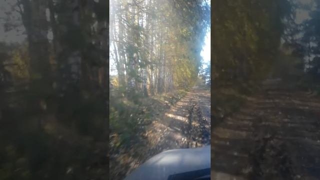 нива шеви