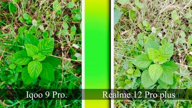 Realme 12 Pro Plus Vs Iqoo Neo 9 Pro Comparison | Camera , Battery , Gaming Comparison