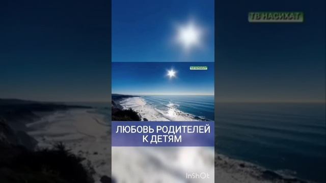 Хадисы о матери