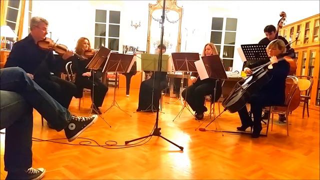 Mario Miladin: Concerto for Flute and Strings - Allegro molto