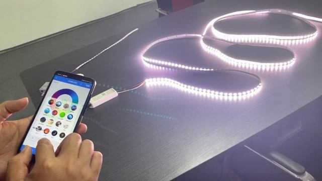 WL5 wifi controller and RGB+CCT led strip