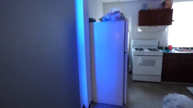 UPDATES ON OUR NEW DIY CURVED SCREEN KITS AND MORE!