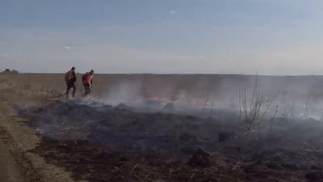 Курян штрафуют за сжигание травы