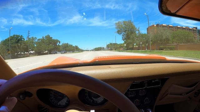 1976 Chevrolet Corvette Stingray L-48 classic American sports car | Jarek in Clearwater Florida USA
