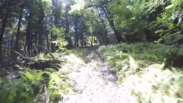 Suzuki Z250 Ride!