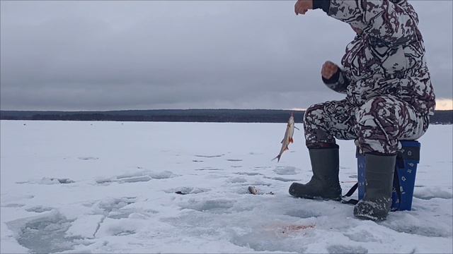 5 мая.рыбалка со льда.