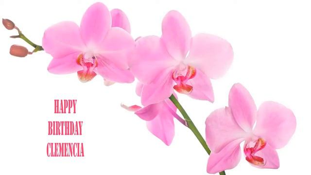 Clemencia   Flowers & Flores - Happy Birthday