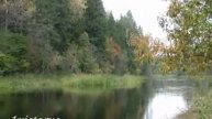 Лес за рекой - The forest beyond the river -relax-