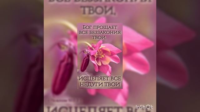 Он прощает все беззакония твои исцеляет все недуги твоиПсалтирь 102:3