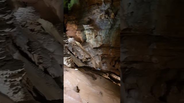 Гуфр-Берже — французская пещера, открытая 24 мая 1953 года. В настоящее время Гуфр-Берже занимает...