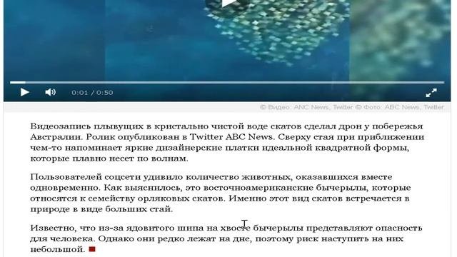 Скаты Ромбом попали на видео у побережья Астралии 18 мая 2019