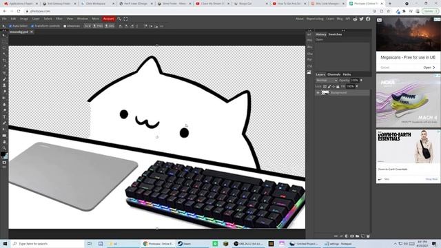 how to download and customize bongo cat webcam