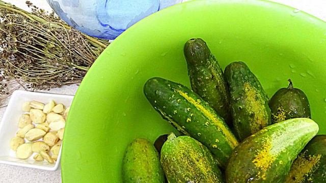 Огурцы солёные для солянки