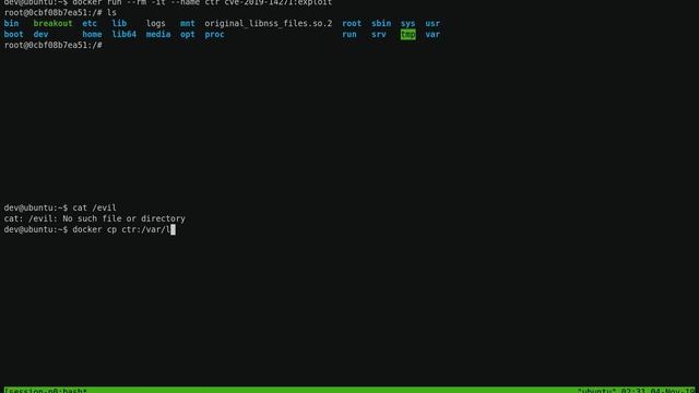 Exploiting Docker Vulnerability