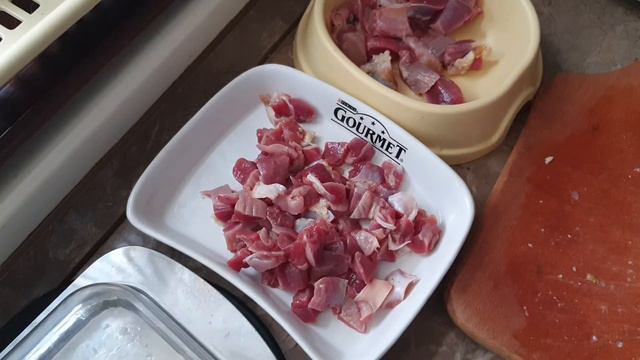 Муся и сынок. Кормлю котят мясом )