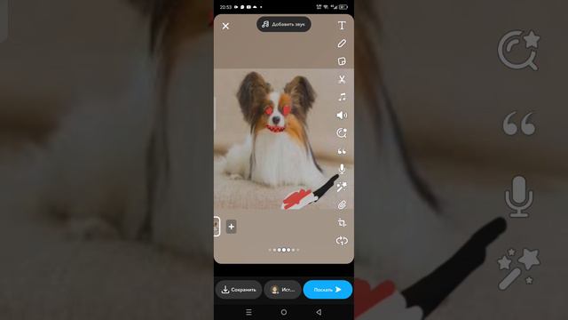 papillons 6