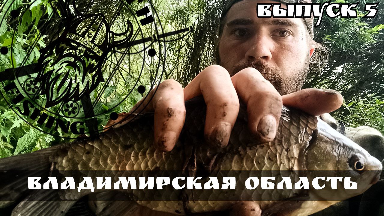 Рыбалка во Владимирской области на поплавок. Карп, карась