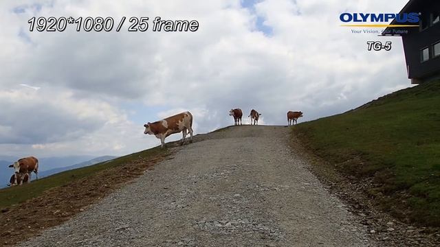 Olympus TG 5 - video test