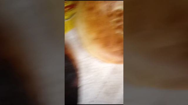 Большая разница