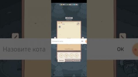 кошки и суп