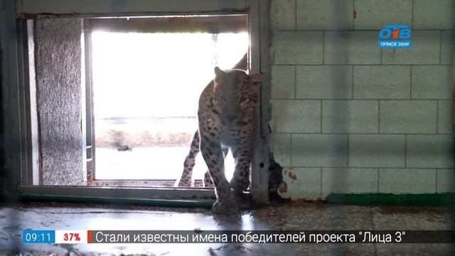 Утепление вольеров в рубрике «Живой репортаж»
