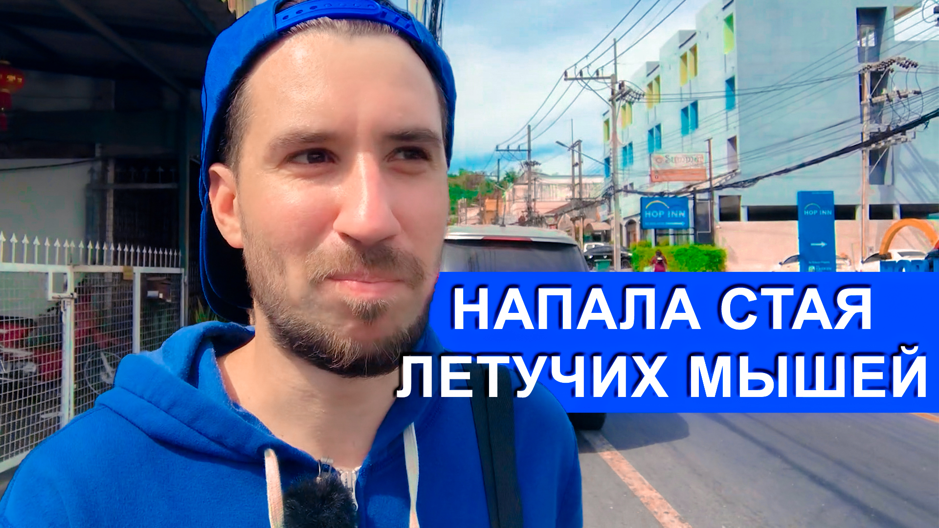 НАПАЛИ ЛЕТУЧИЕ МЫШИ ИЛИ В ПОИСКАХ ВАКЦИНЫ ОТ БЕШЕНСТВА