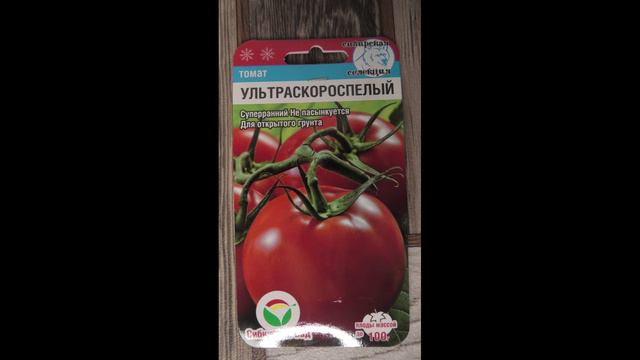 Сорвали первый красный безрассадный помидор сорт УЛЬТРА СКОРОСПЕЛЫЙ, 29 июля 2024 года.