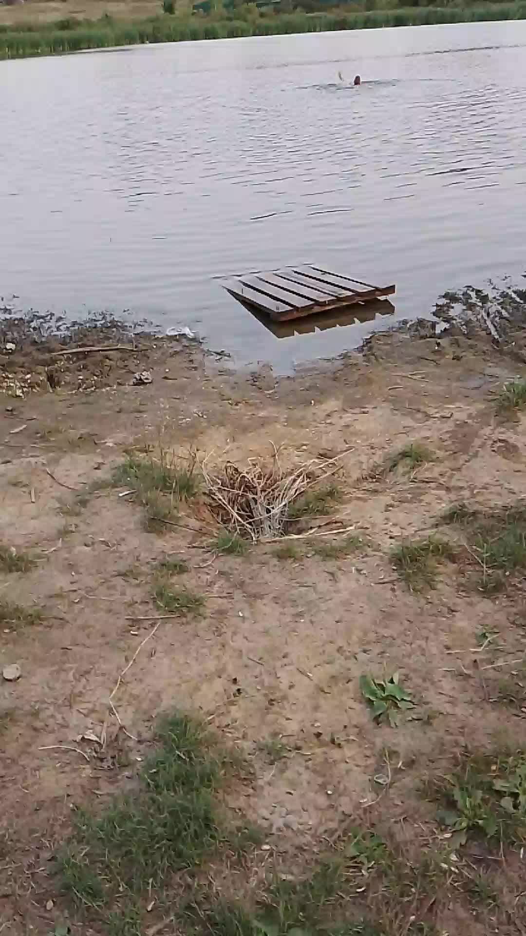 гуляю