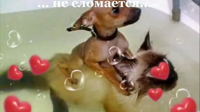 Сегодня ДЕНЬ ДРУЖБЫ! ??? 30.07.2022г. Друзья, желаю всем, чтобы ваша ДРУЖБА КРЕПКАЯ...НЕ СЛОМАЛАСЬ.