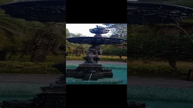 VID_20230929_163026.mp4