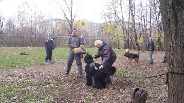 ОКД и ЗКС Сокольники 21  10 12г  183