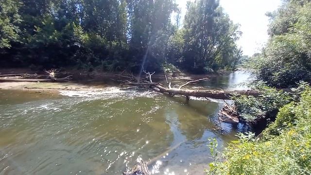Озеро Тёплоепротокрека УфимкаИНОРСУфа  Часть 2