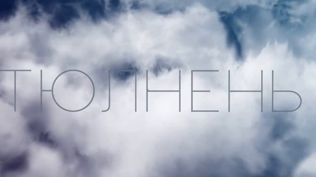 тюлень