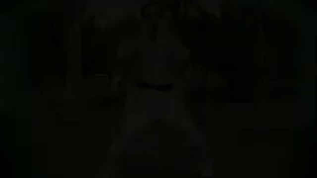 Техника южных стилей ушу   4 двери