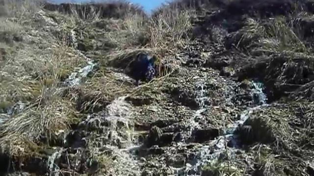 Оренбургская областьШарлыкский районс.Шарлык 15.04.2012