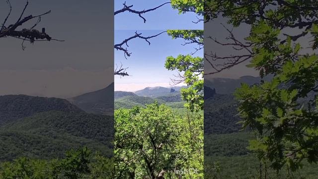 Лето Крым