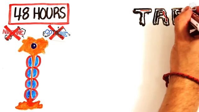 Что происходит, когда бросаешь курить.mp4