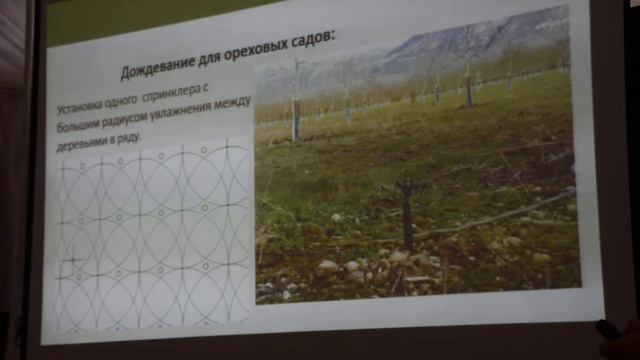 Системы полива для ореховых и фундуковых садов